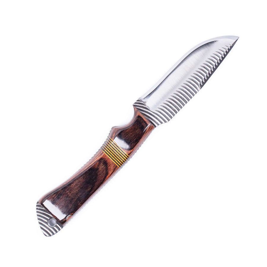 Anza Walnut Curvetooth