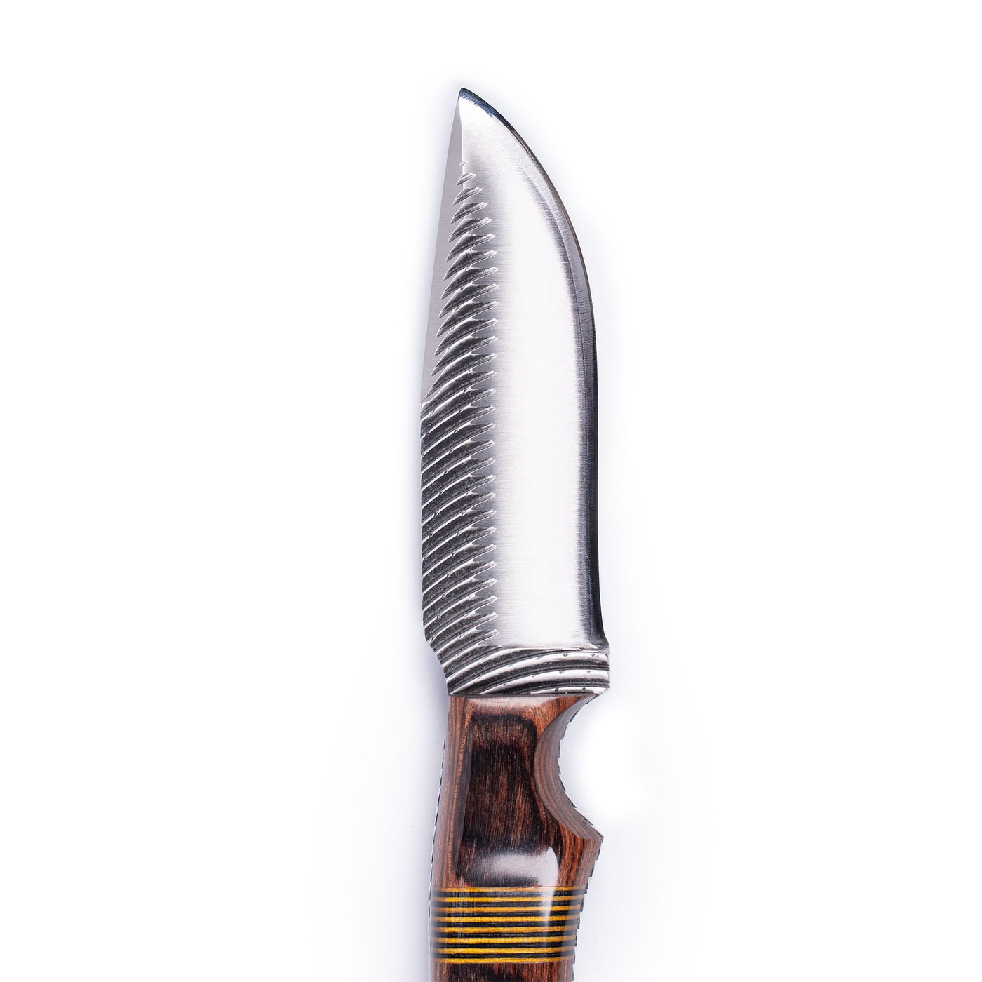 Anza Walnut Curvetooth