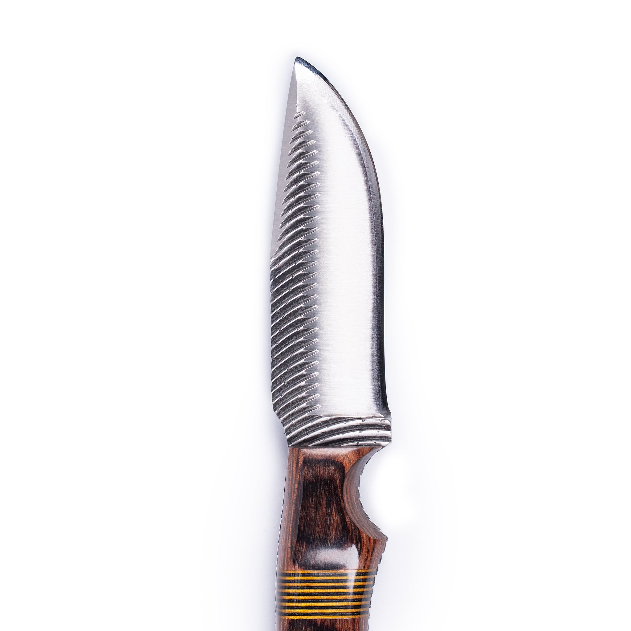 Anza Walnut Curvetooth