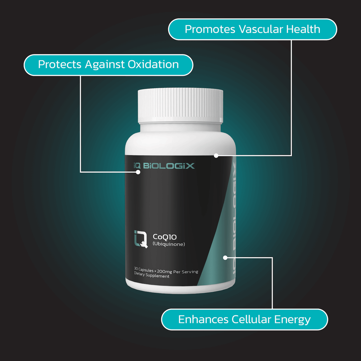 CoQ10 (Ubiquinone)