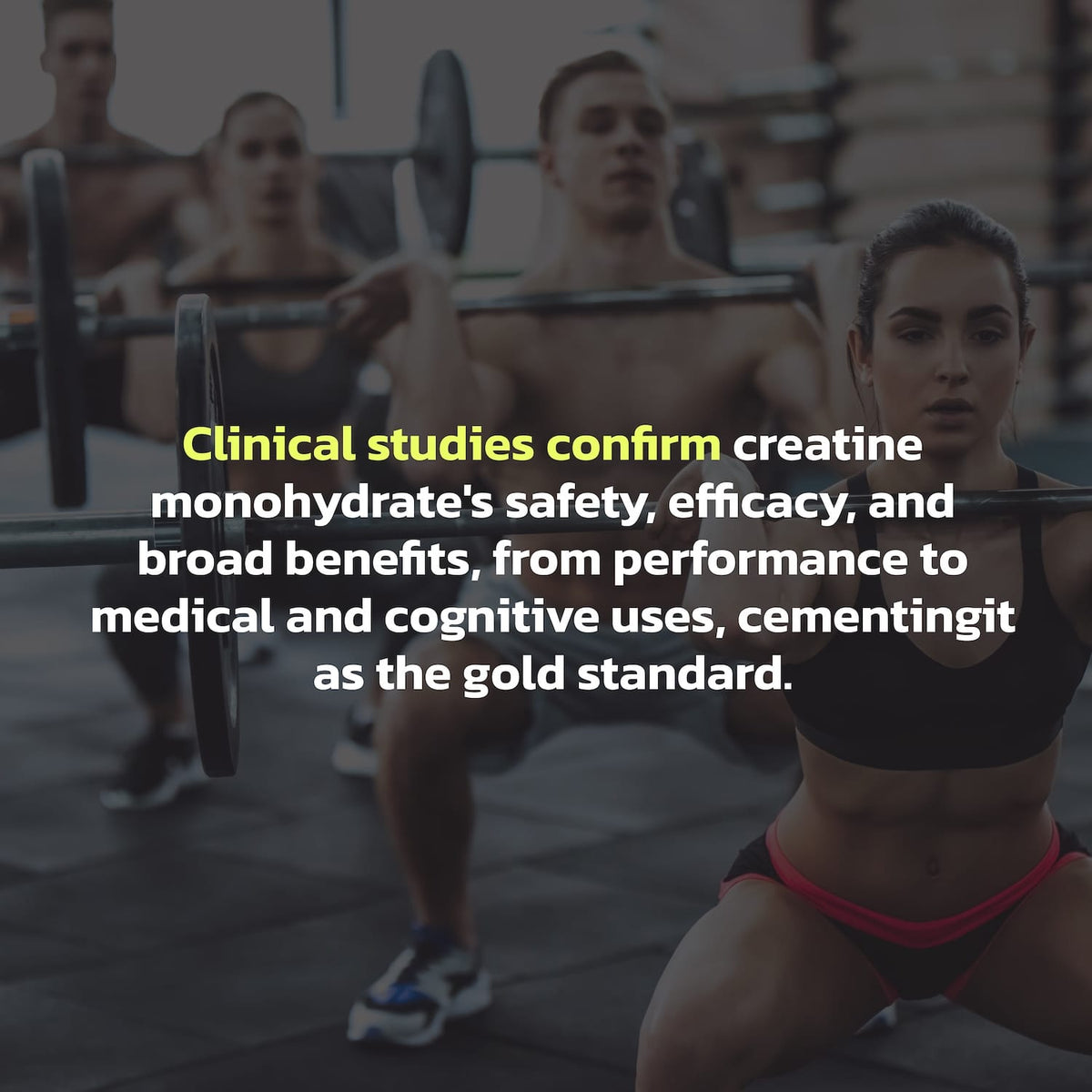 Creatine Monohydrate