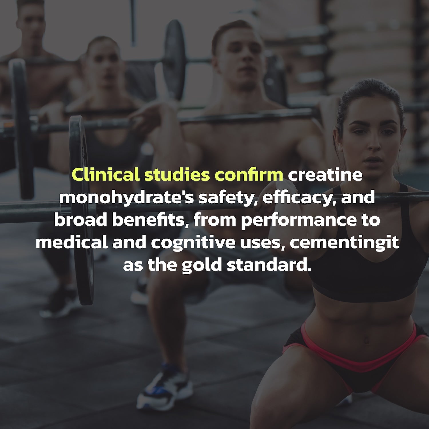 Creatine Monohydrate