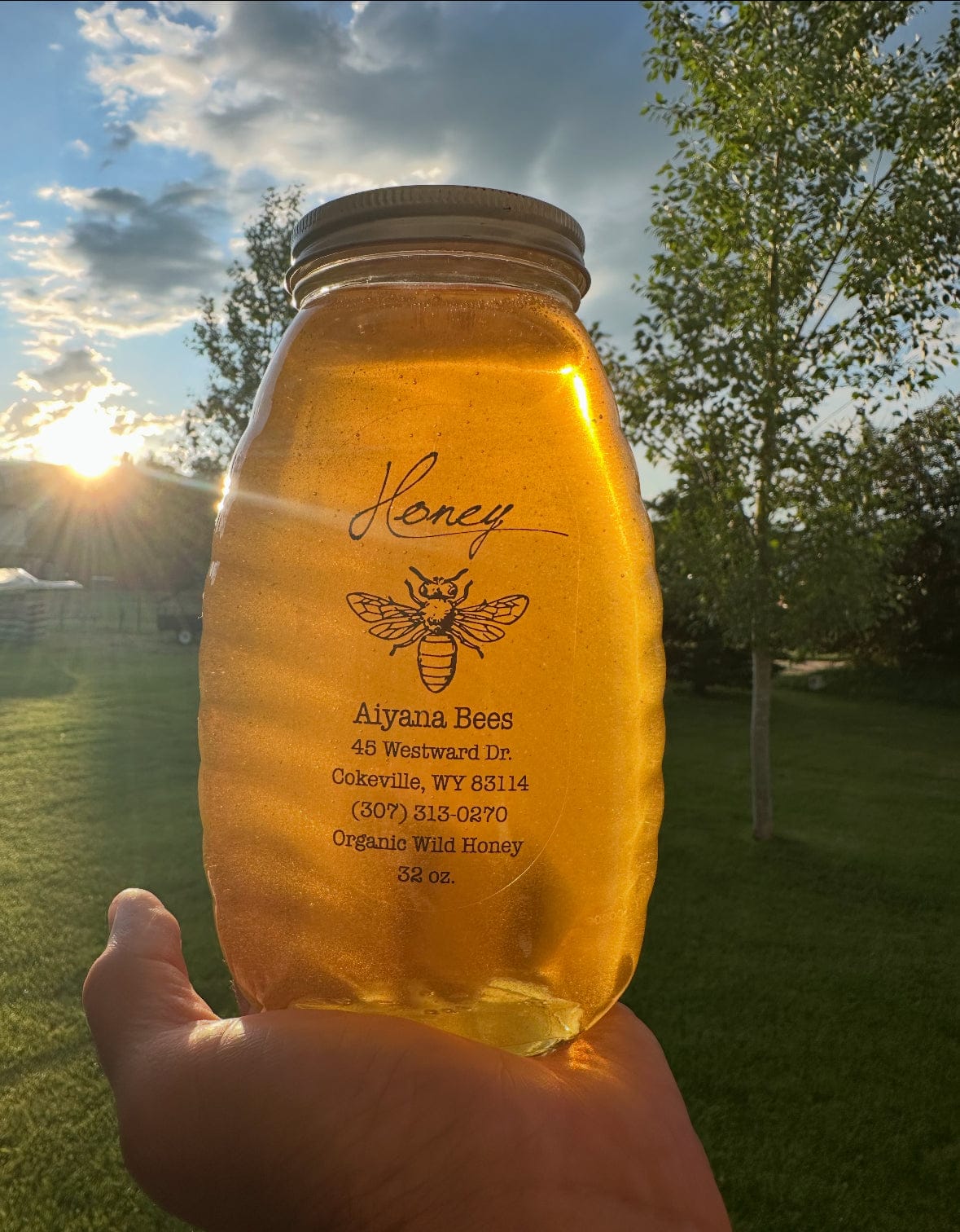 Local Wyoming Honey