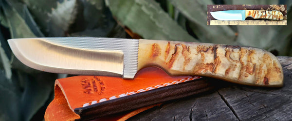 Anza Sheep Horn Rancher