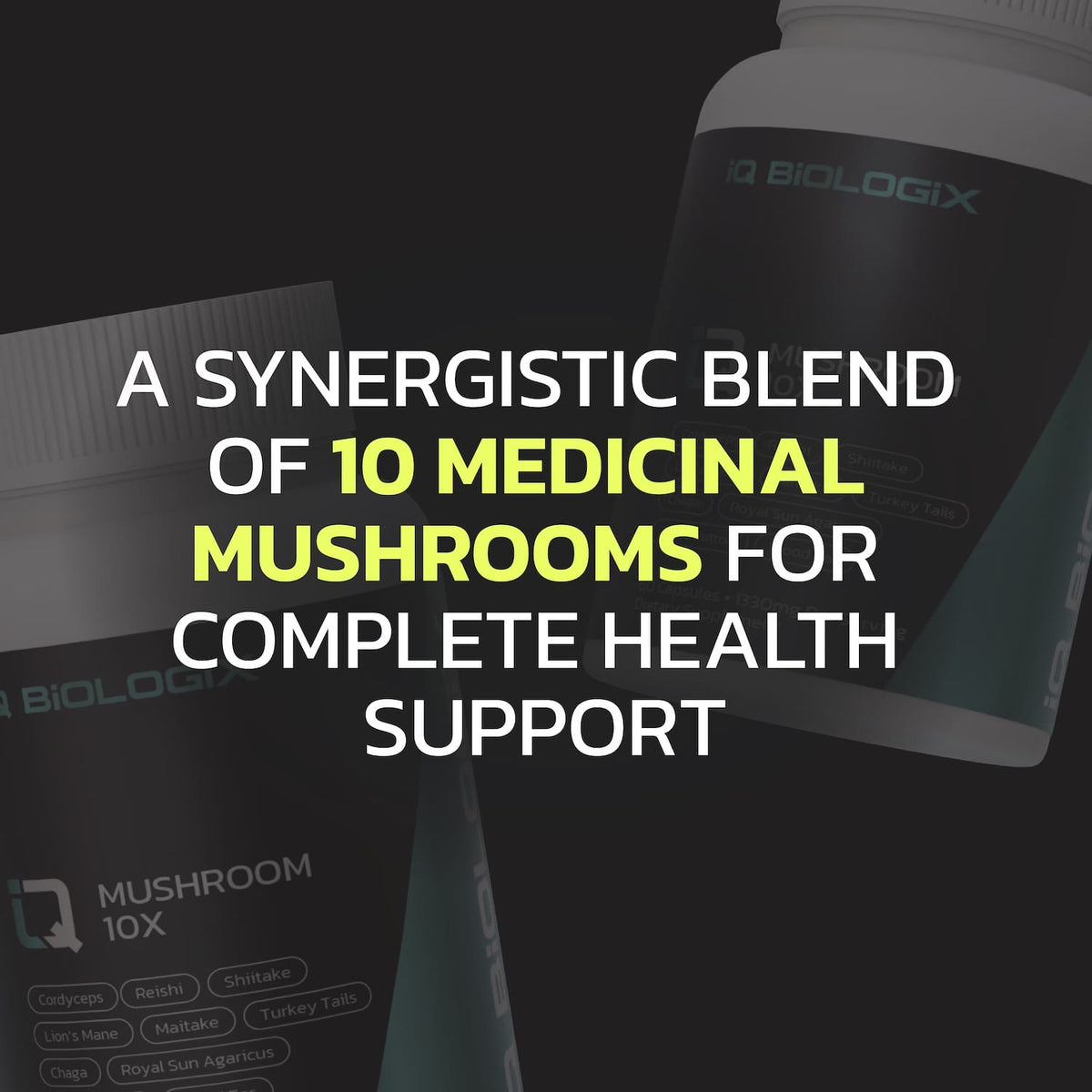 Mushroom 10X