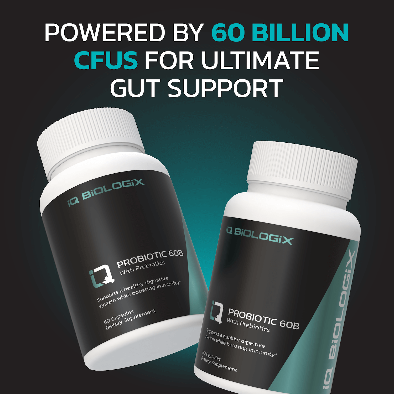 Probiotic 60B With Prebiotic