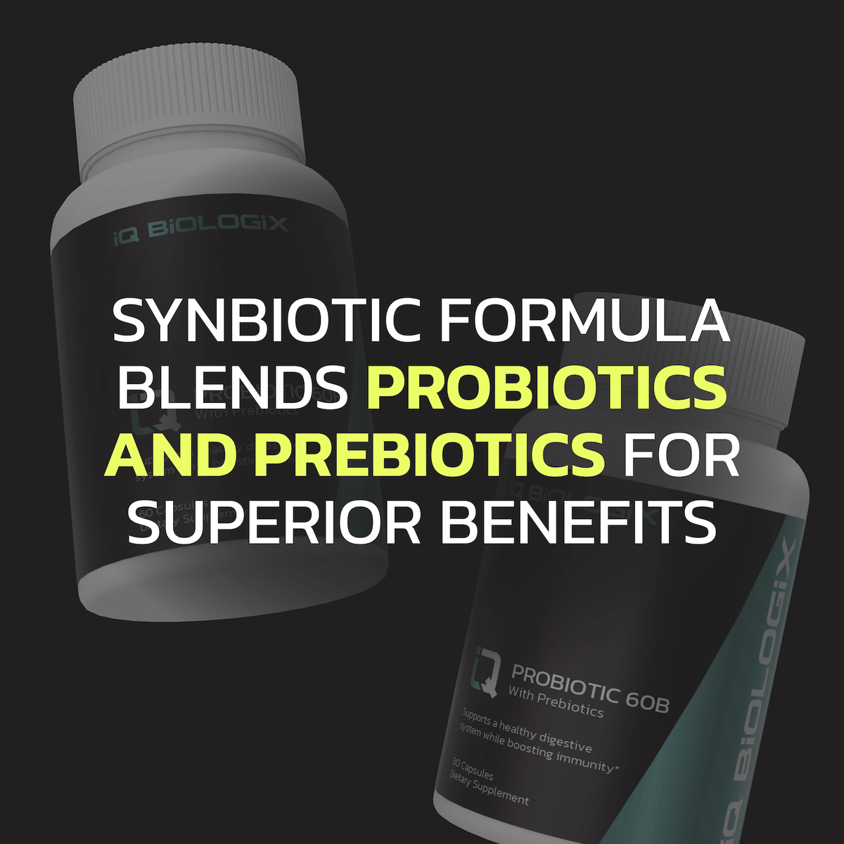 Probiotic 60B With Prebiotic