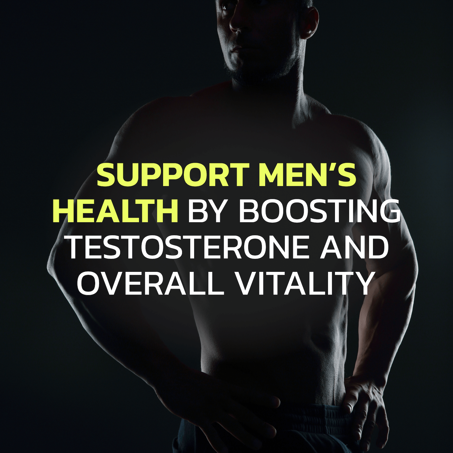 Ultra Testosterone Booster