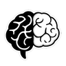 Brain