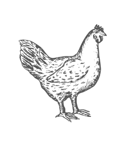 With Chicken Or Pork