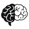 Focus & Brain