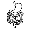 Gut Health